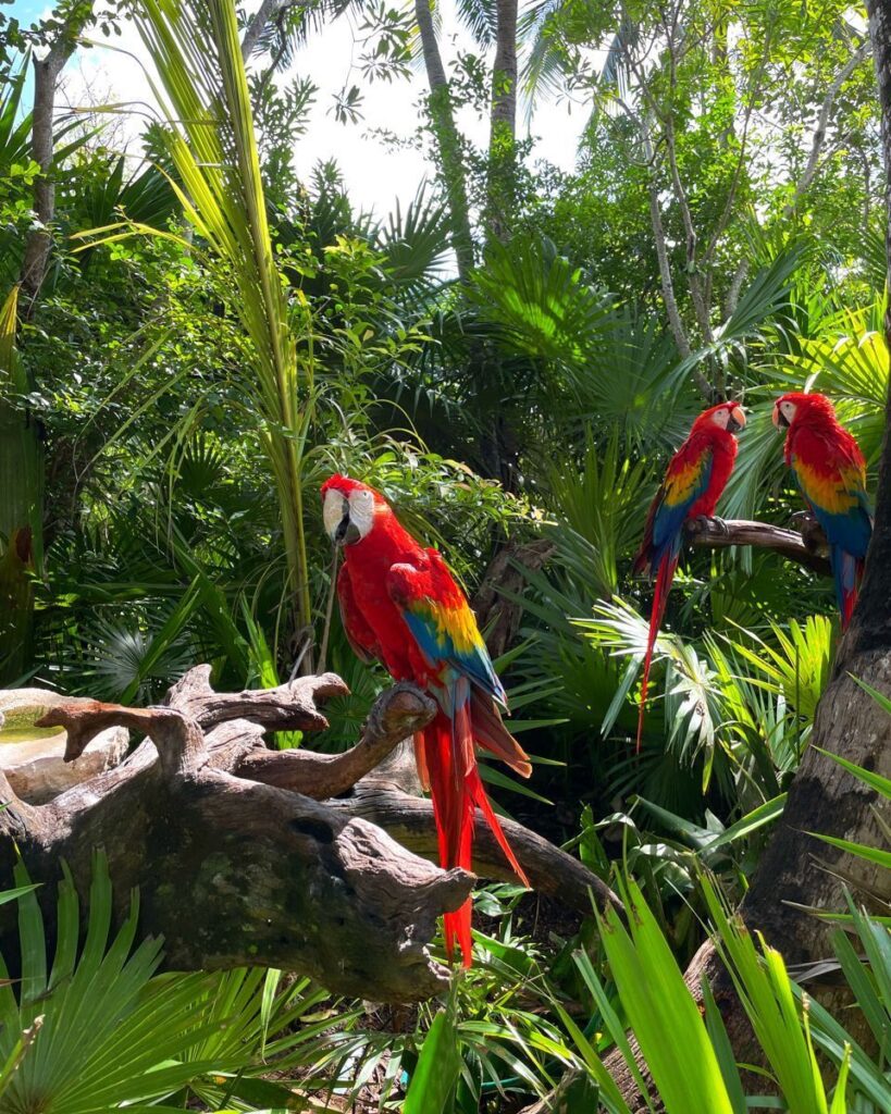 PUERTO NARIÑO