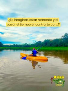 Kayak