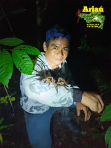 CAMINATA NOCTURNA