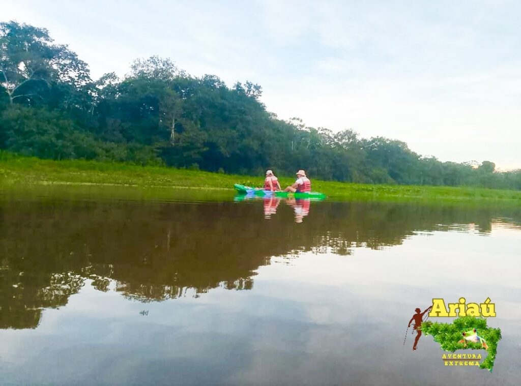 Kayak