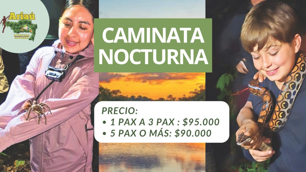 ACTIVIDADES ARIAÚ - Portafolio. (1)_Página_17