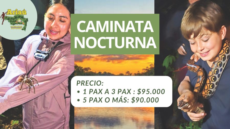 ACTIVIDADES ARIAÚ - Portafolio. (1)_Página_17
