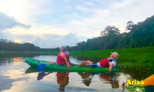 Kayak
