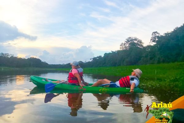 Kayak
