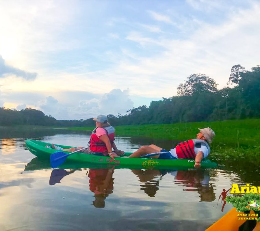 Kayak