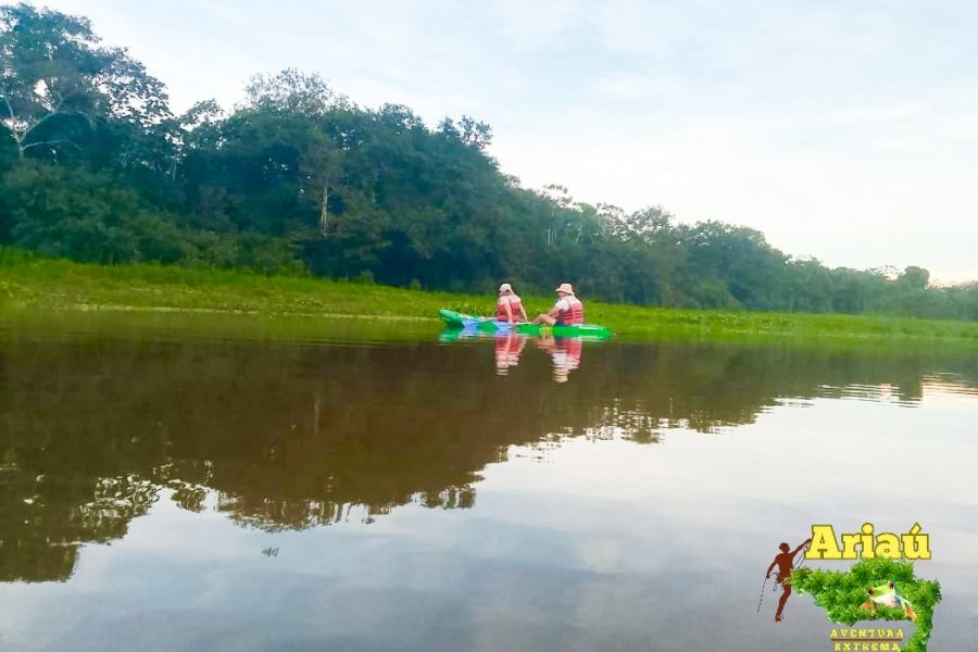 Kayak